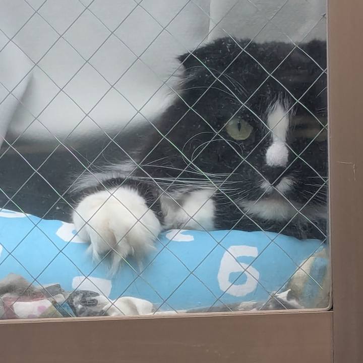 75c43dea 41d8 41d7 b647 9eccc30fdd52 1747347861569