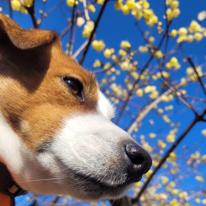 75c44361 0946 4cbb 9552 43d04478bc9d 1642740210318