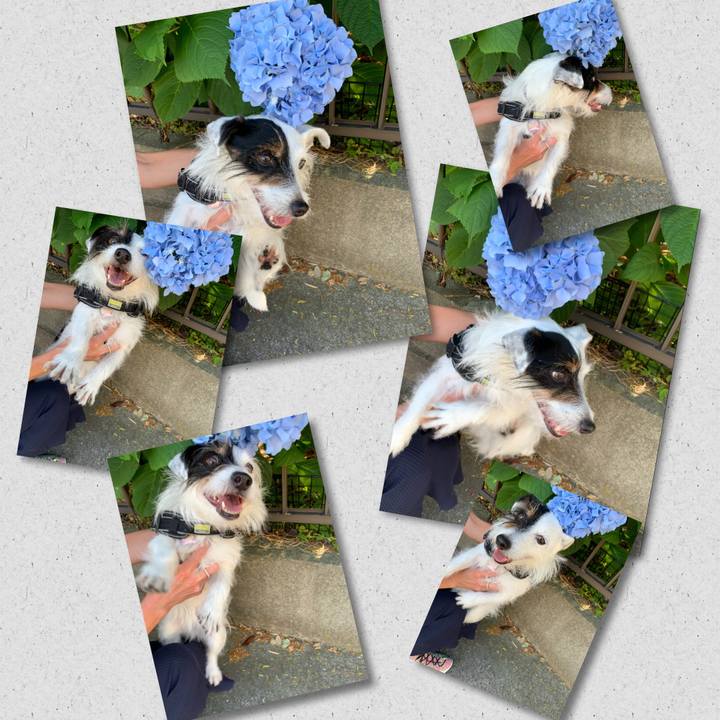 75c451ad 0b4a 4c63 be70 282b77f65aeb 1654155349454