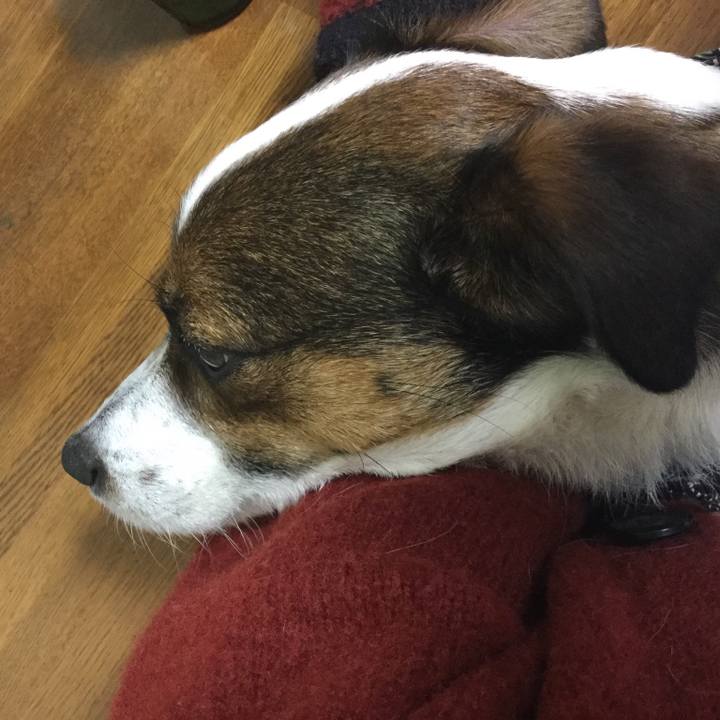 75c45279 a629 4f1d 9bec 8b74ef999d15 1521283798026