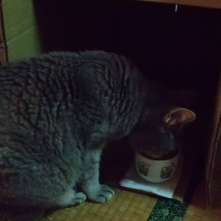 75c45890 4e03 44bb 976e 8c2018b74508 1684104561537