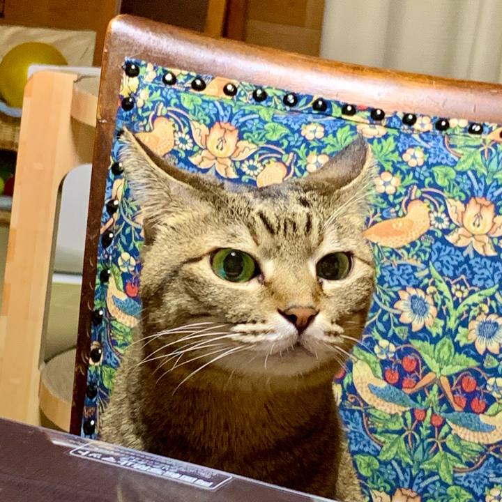 75c46db1 cb76 4ef9 b84e 9ed3b1e9d1ed 1636627927228