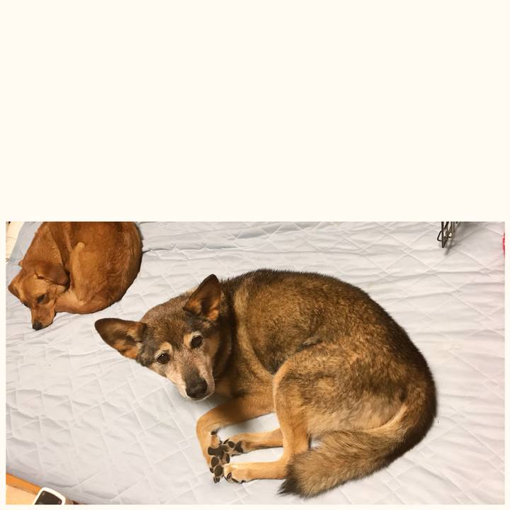 75c475cd 2a8b 4af1 9583 9b037ea4e76c 1536245066238