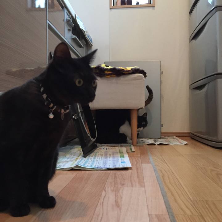 75c497b6 db3e 4b4c aa5d 9037134d6a1f 1514540195217