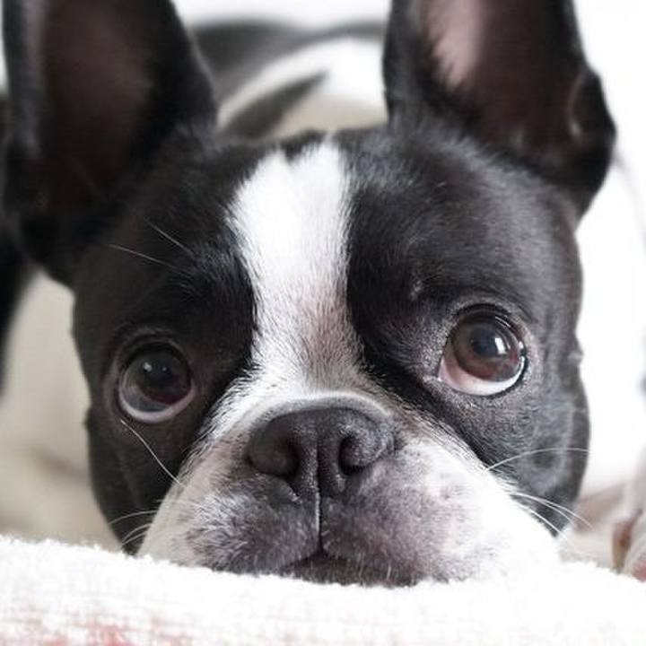 75c49c47 44f8 48ad af59 7b9aae105a04 1530663397183