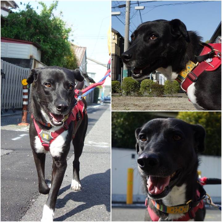 75c4db37 f4d3 456a 85dc aa5c5f988266 1586911847471