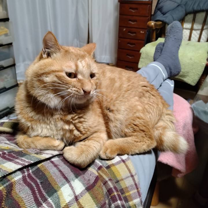 75c4e862 285d 44ad ae5a e4fd24d8c15a 1696929211044