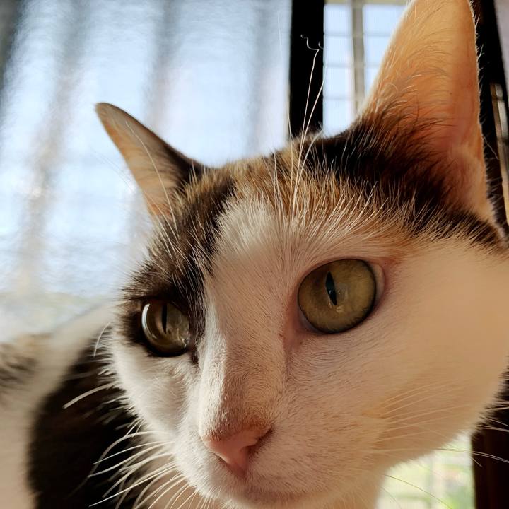 75c4f3ec 7fd0 45b8 bdf5 9ac9600ca20a 1595644017678