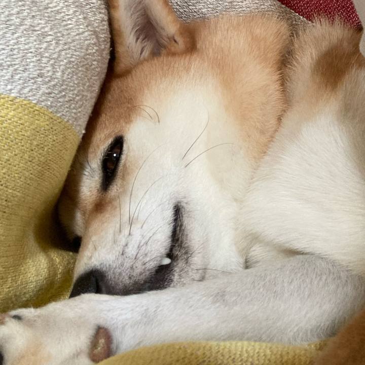 75c4fe7f 51fd 4057 85a4 226cad220ff1 1656313823969