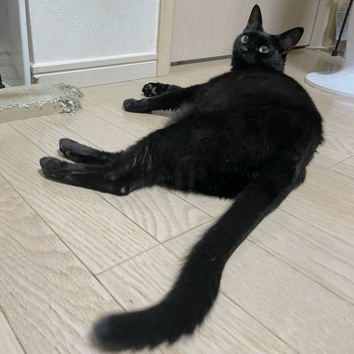 75c50dd6 7f2d 4d58 9dd8 4c7f35699883 1755958527868