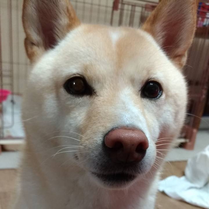 75c5143f f8d9 46cb 955b fa57450ec600 1567507693515