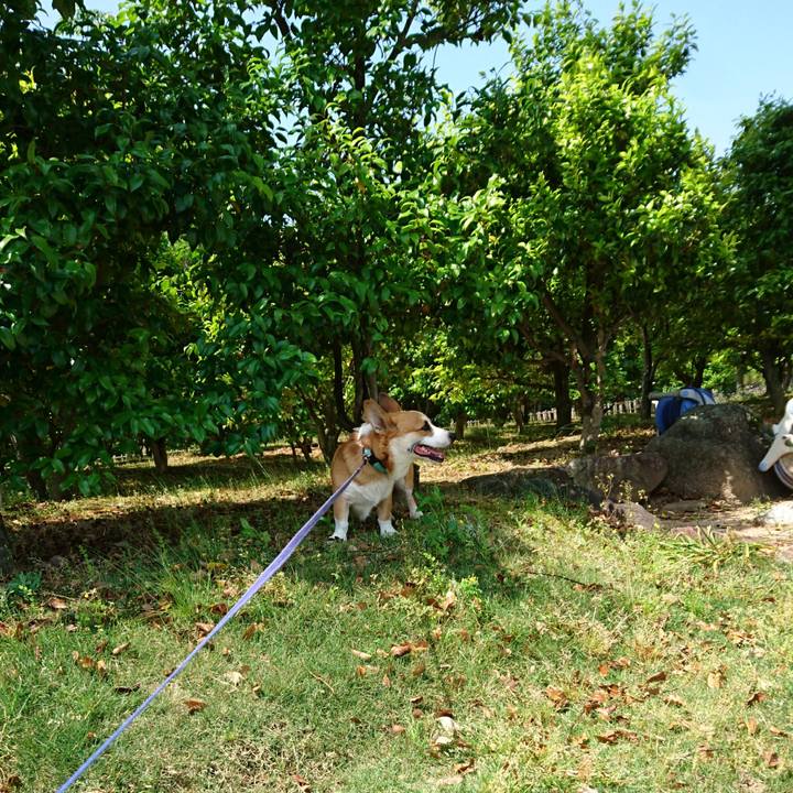 75c520d2 134d 4705 bad1 56f2211cae0c 1589546812117