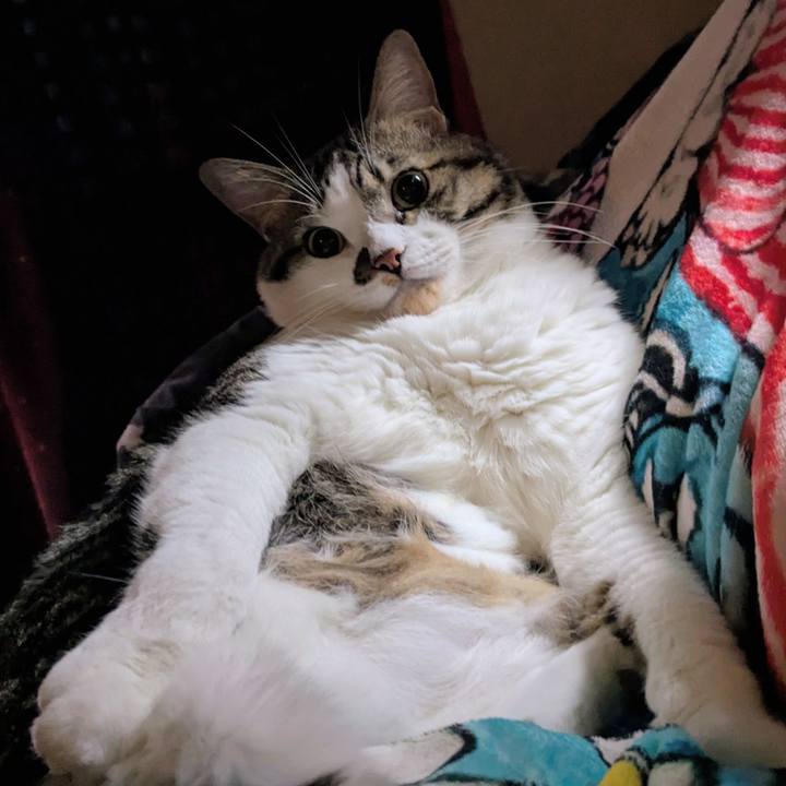 75c5317f 7de7 4512 84f7 39e52004b58e 1760135858872