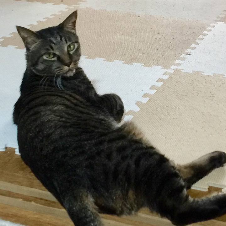 75c53fe9 cb37 41b8 aadf d345a78f1f95 1517979145889