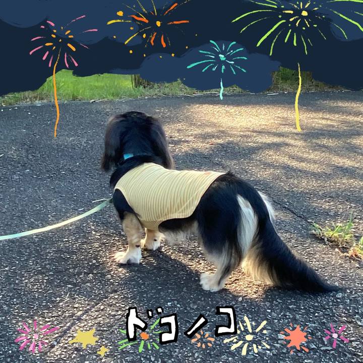 75c5702f 13ac 4a98 a9d3 7a0b53d8ef6a 1723526335507