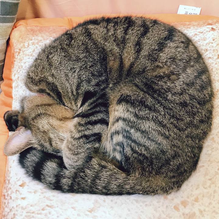 75c57e36 f6f3 4085 8dbd 1a15983b4768 1523452001873