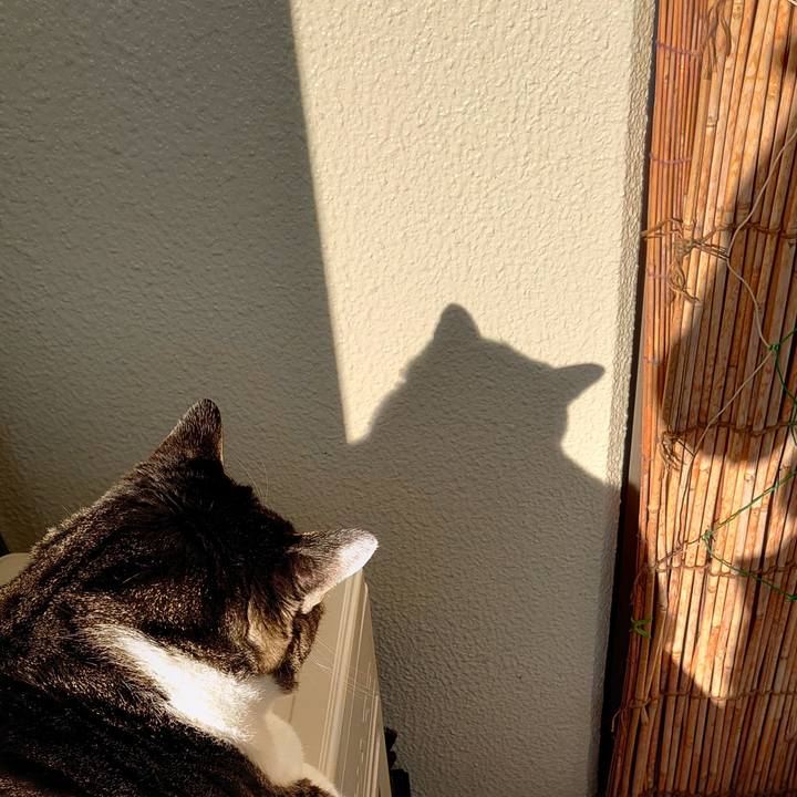 75c5d8ea e4fa 4b92 b7d1 8fd3c3f2d488 1604534998325