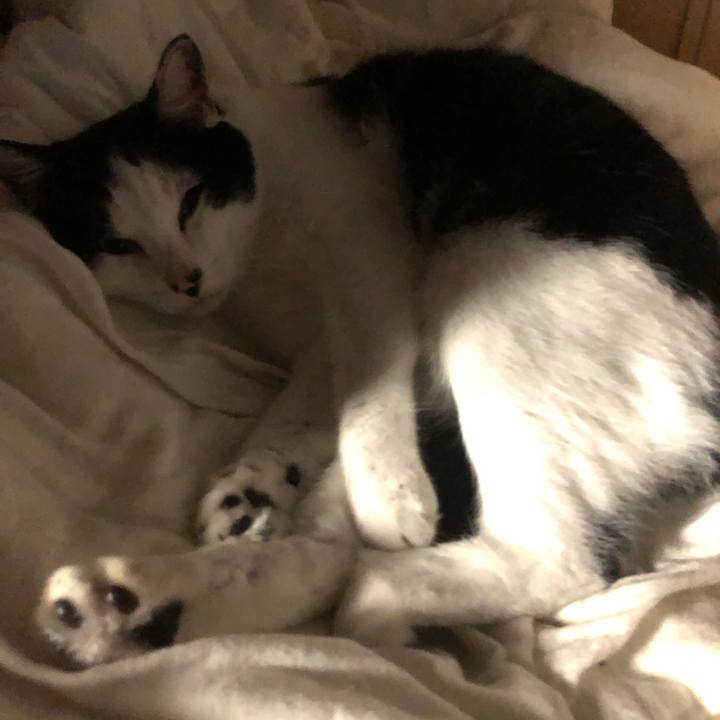 75c5e336 8e15 4f9a 83f4 a75d21f46dc2 1601209338677