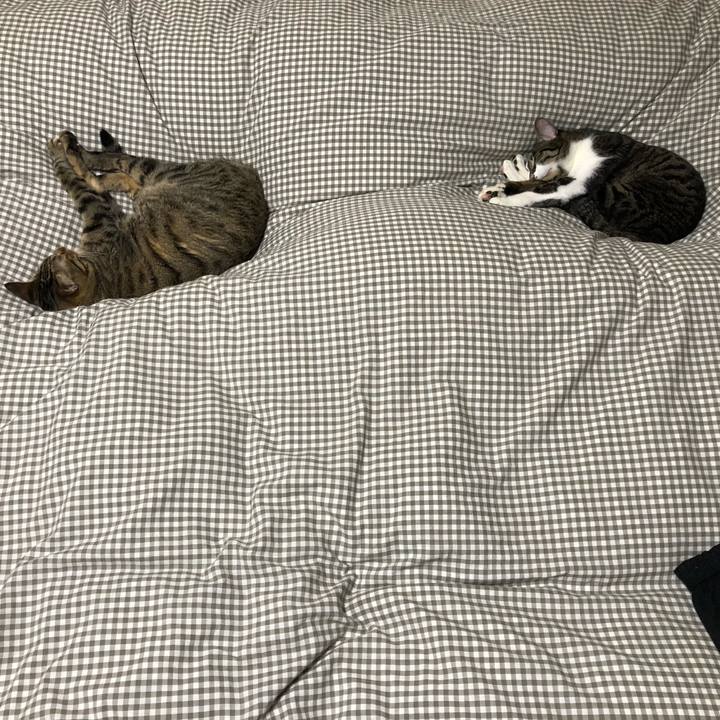 75c601b1 c334 48dd b2e7 d9dd4b2549b0 1515937200884