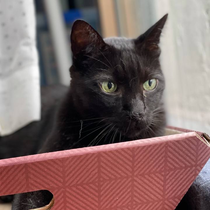 75c61c02 e407 42bb a345 e05eebcffbec 1631929093559