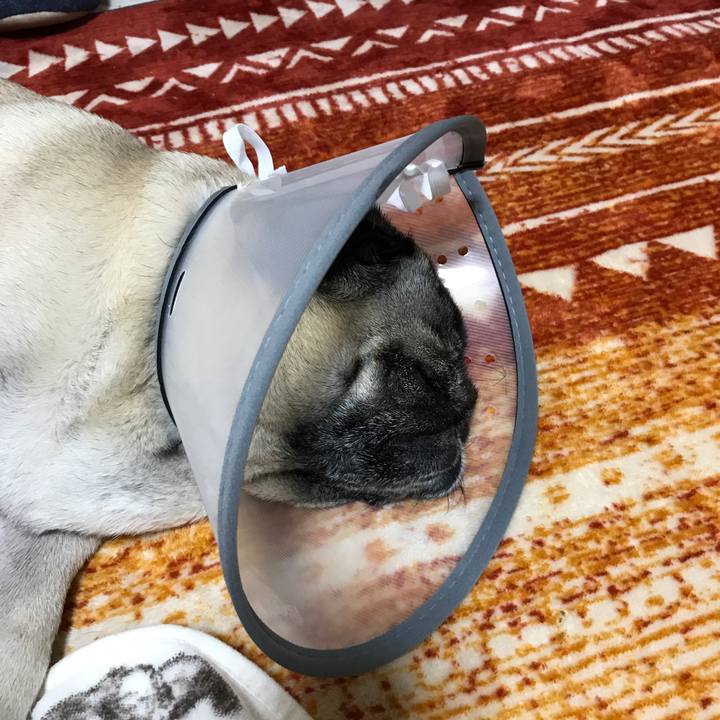 75c63026 cd47 418b 8e5b bf5040fe83fd 1603362254052