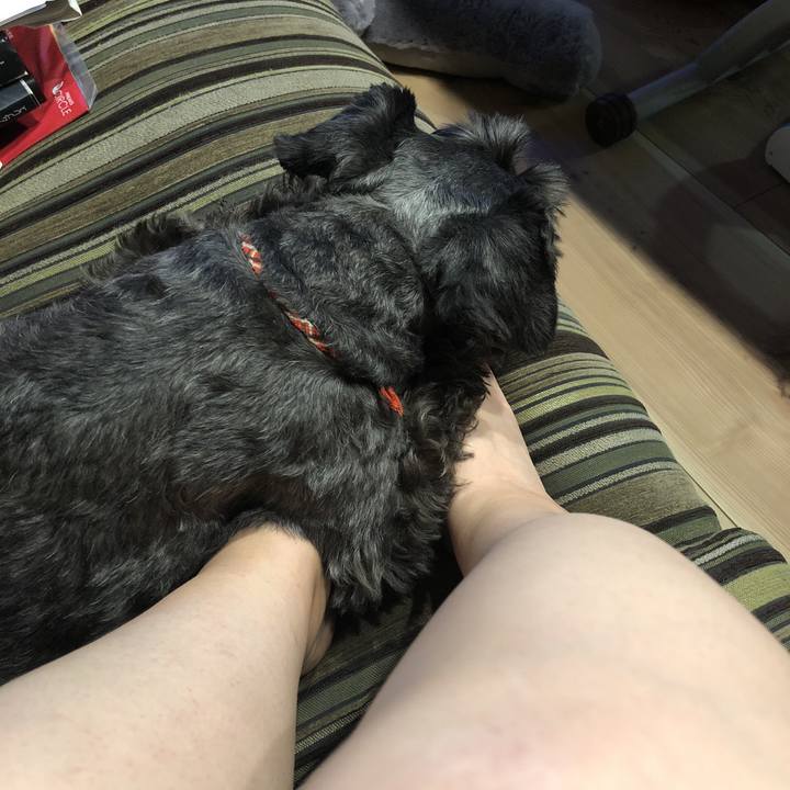 75c64100 5dca 420f 8953 d4be4c2b6582 1531913255209