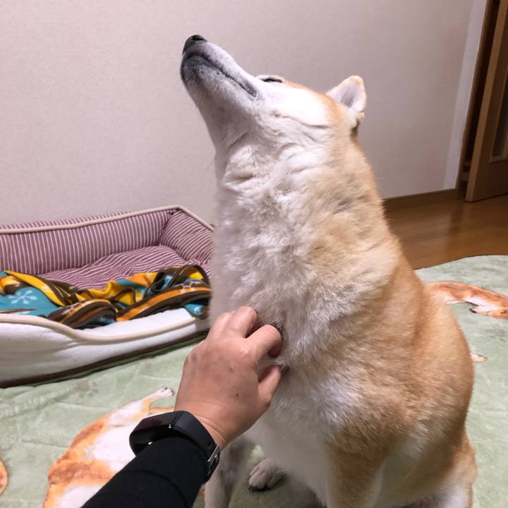 75c6418d a763 421f 928c c4b516f507f7 1605759613828