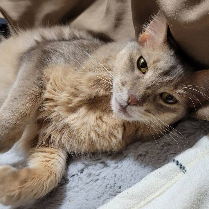 75c6549d 201f 4a9e 83b7 83e14d402f06 1647749656900