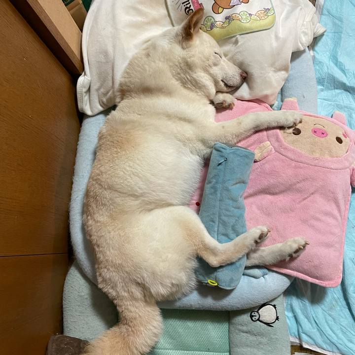 75c69a50 b835 44d9 9fd4 e5c9944f5001 1634295526416