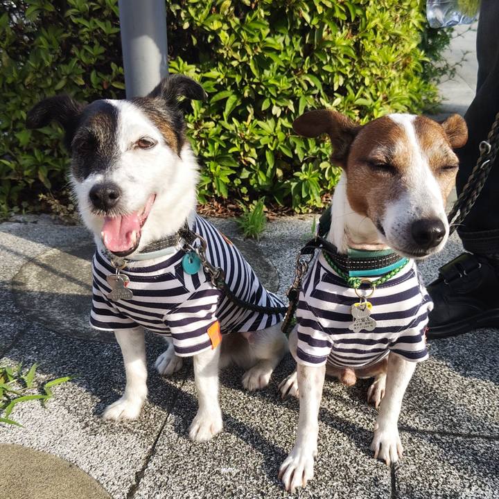 75c69caf 0d18 4622 a5a7 baab52df01fa 1750283302012