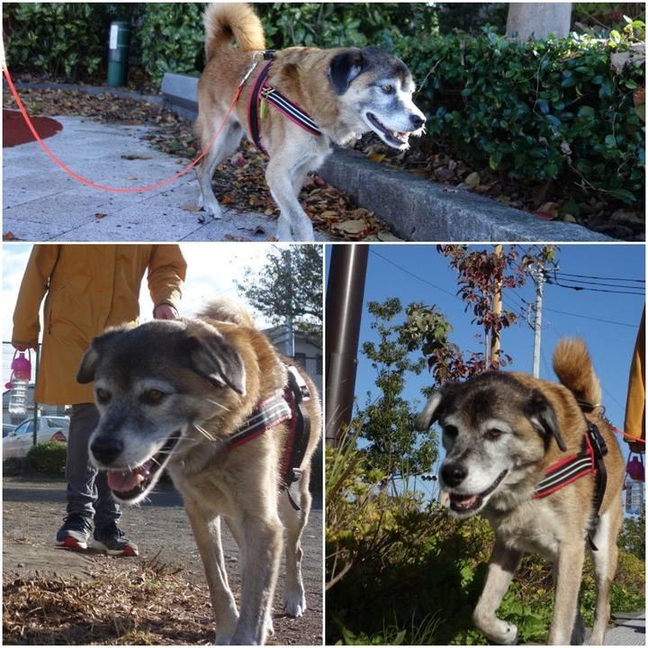 75c6d90d d69a 4af3 8613 666aace2c308 1573779741805