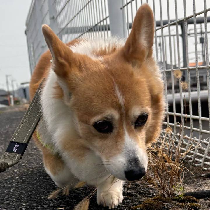 75c6fb88 e724 4414 b39e eeae1574434b 1774160282932