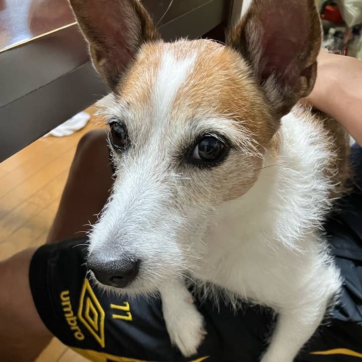 75c6fd00 d902 4fef 914c 0a734b7ab18d 1686698845710