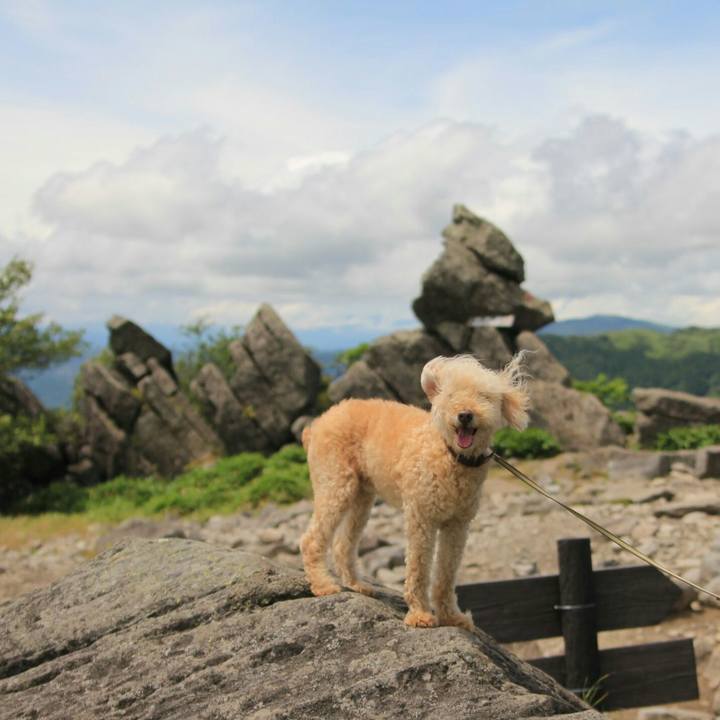 75c6fe57 86c9 4fe3 bc88 af895c5f6d87 1630412476957