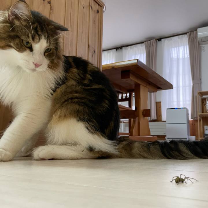 75c750c0 02a0 447f ba76 e68baa8e7a2e 1657657372362