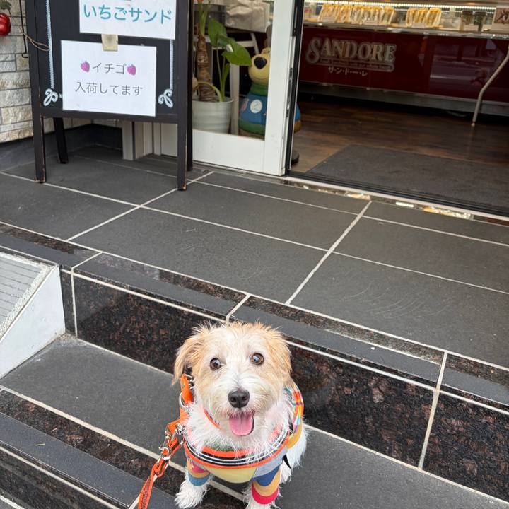 75c766ae edd8 4fdf b203 16681485eb48 1760742022674