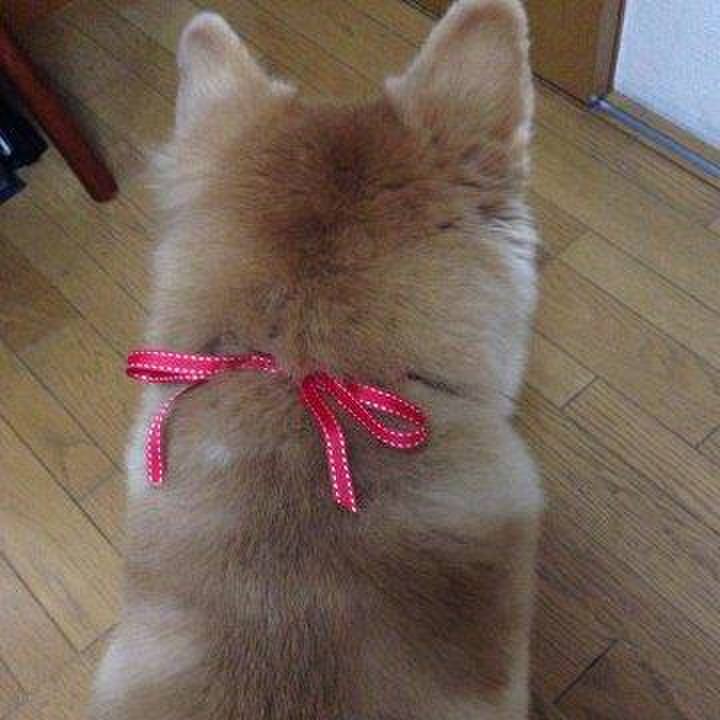 75c777ea a015 43f9 a7b9 0e84a09b5bc0 1573354844101