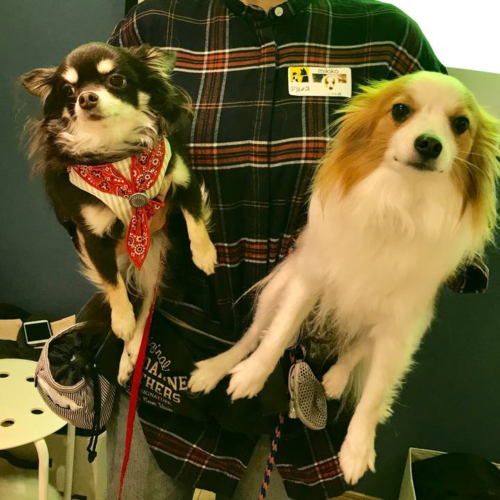 75c78a76 2cba 409d 8143 ea517233b98f 1548578598439