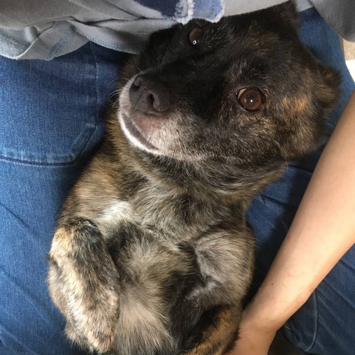 75c7a63a 23ce 418d 8e72 fd39f0893003 1533912352665