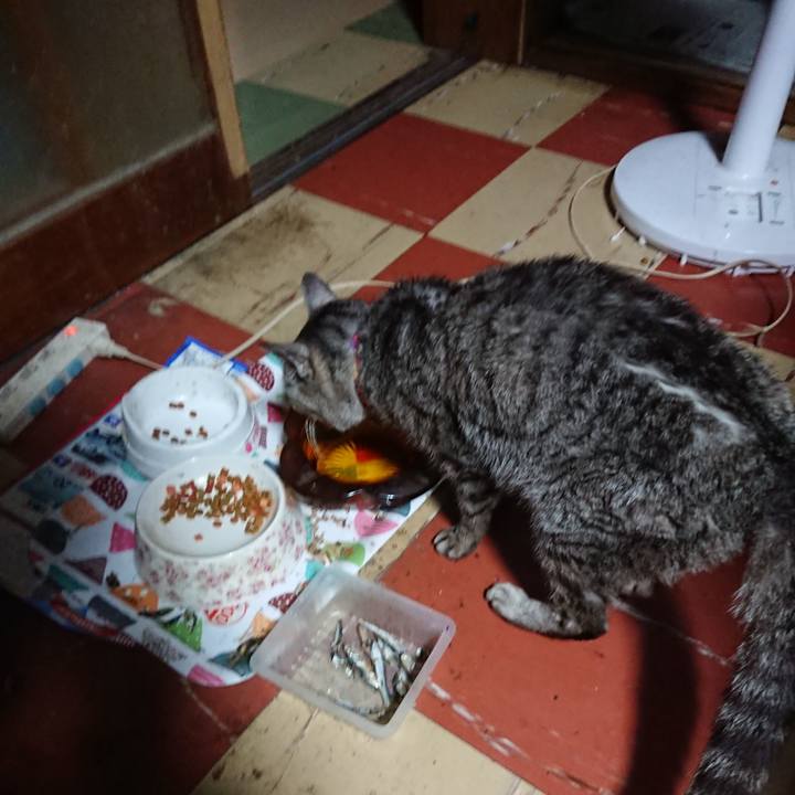 75c7cc7a 039d 45f1 baa7 adbff9a57463 1593545737925