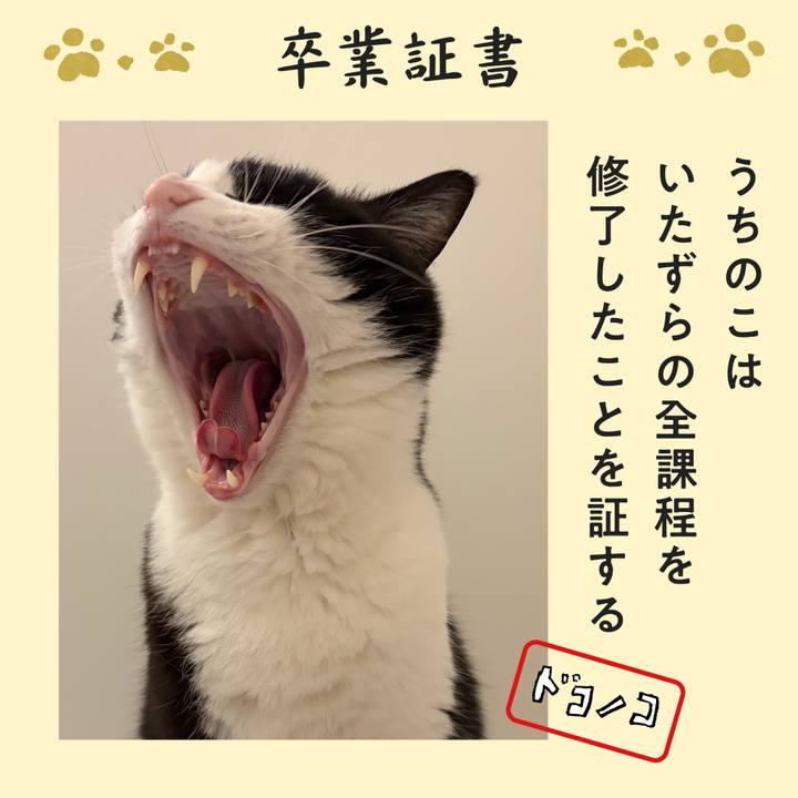 75c7df4c fd5d 4a7d 9dcc 40875d7ec3aa 1771937947972