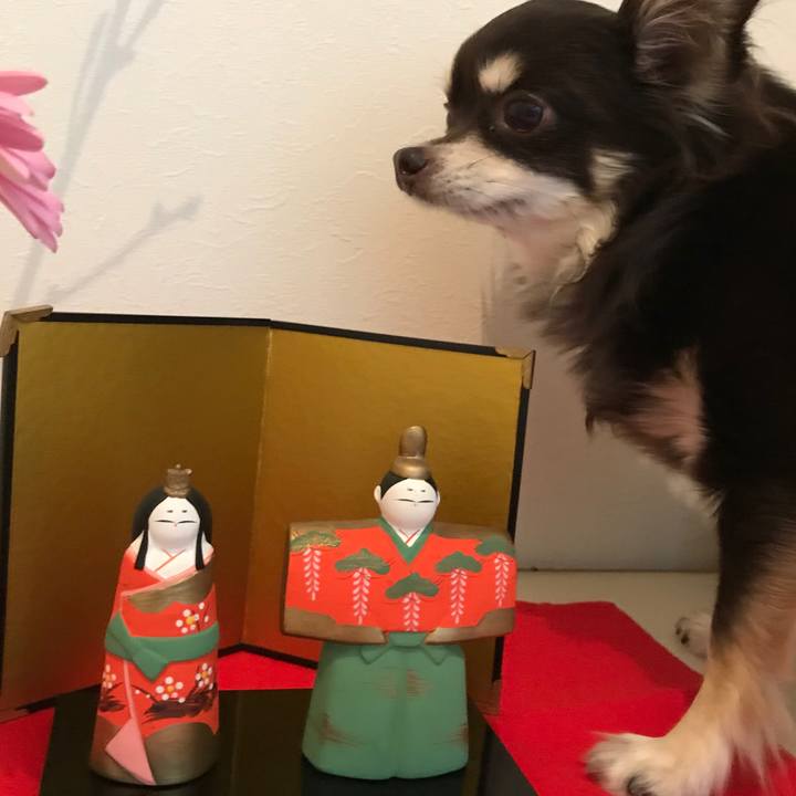 75c802b7 0715 4a79 af4b 31136762ea21 1519978114531