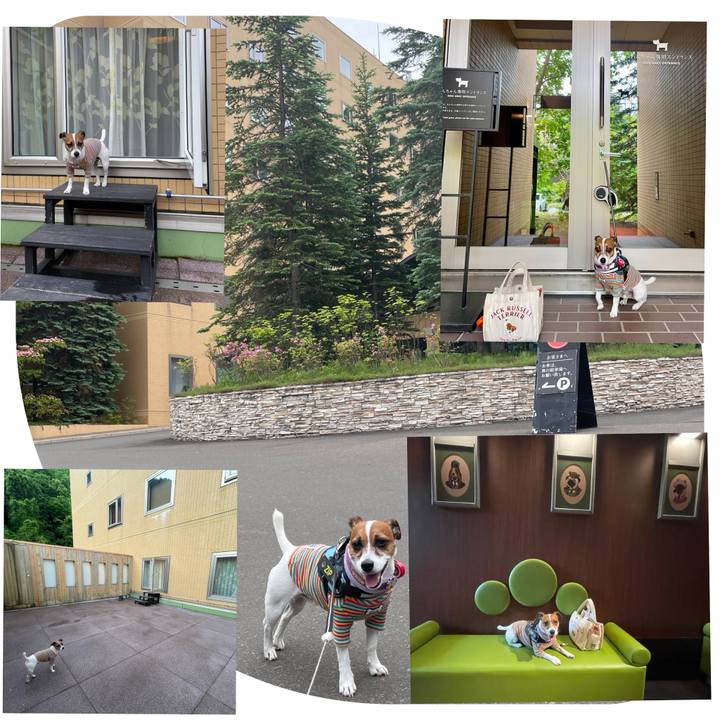 75c81e2d dc82 4831 9b32 58719b12783b 1718923571056