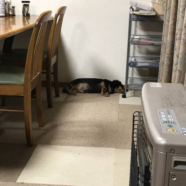 75c82369 a38c 4b3a 84e0 cc2c19eedcab 1535667050571