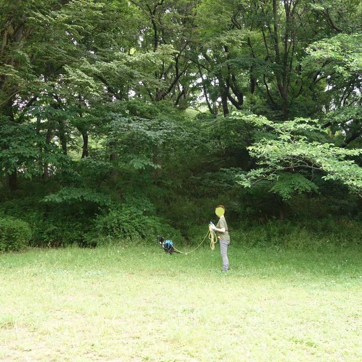 75c84aec 60ae 40d5 8d9f 0c16a377e6f1 1621297679692