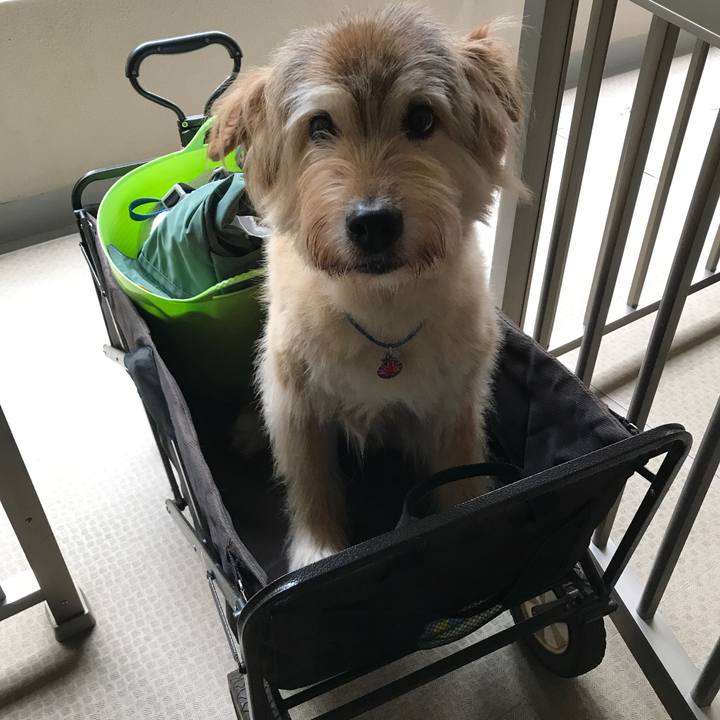 75c8686f e6de 43f7 9e30 f088367e6d3e 1659805631363