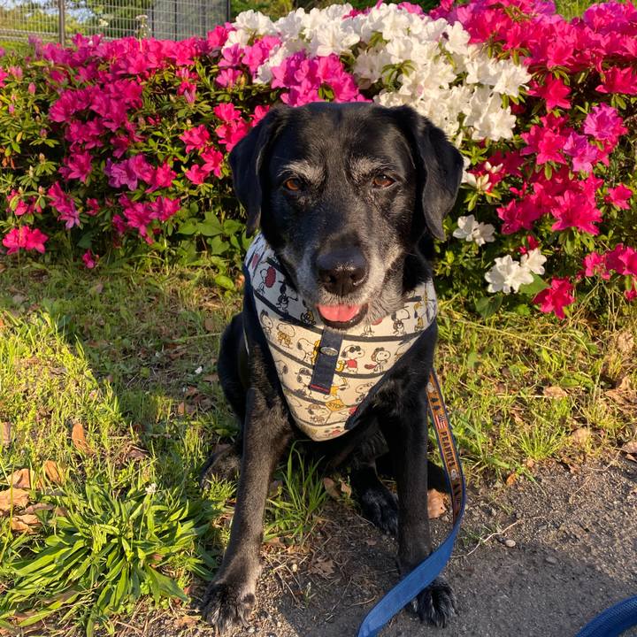 75c8e203 67d4 4cb2 8d17 8c30be5a60b2 1650874637603