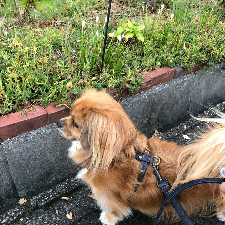 75c8f6df 8b14 49d5 9af0 ebd26852e380 1571266109346