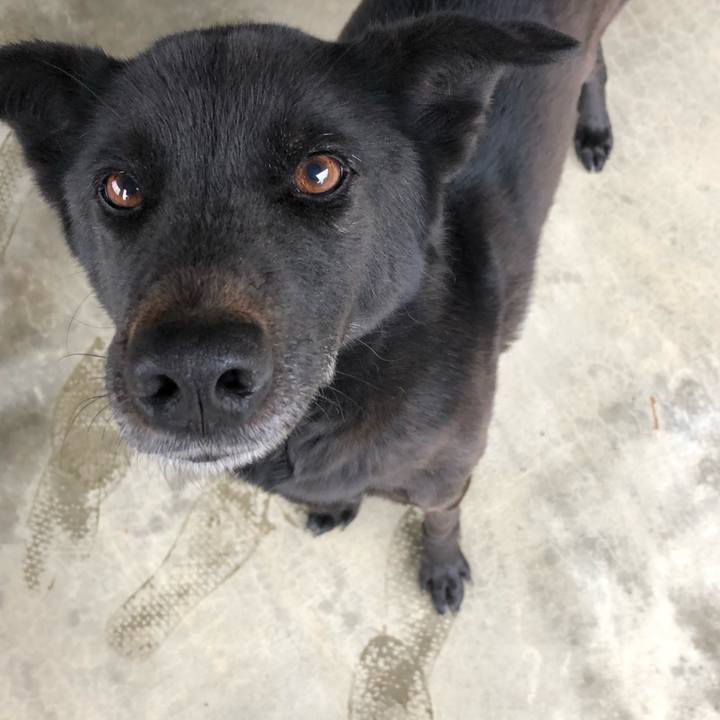 75c8ff62 e102 45fc b67a 7ca9107aa43a 1549427682227