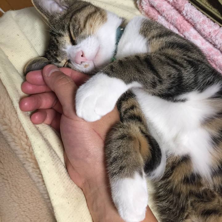 75c905a5 c975 4588 8475 101a53a5b755 1658226712695